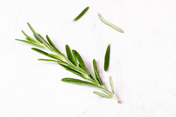 Fresh Rosemary on white background