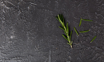 Fresh Rosemary on dark background