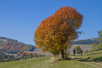 Herbst im Bondonegebirge