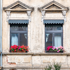 Fototapeta na wymiar Germany Thuringen, two windows of vintage building with colorful flower pots