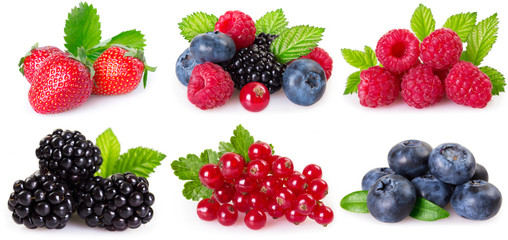 Collection of berries on white background
