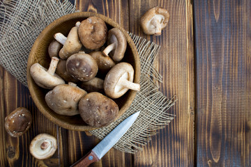 Mushrooms shiitake in the brown plate on the  rustic wooden background.Top view.Copy space.