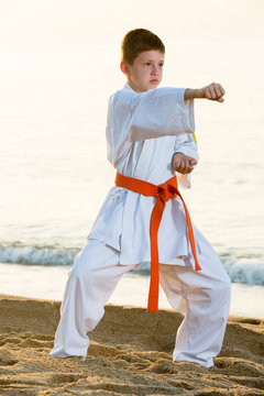  teen boy exercising karate