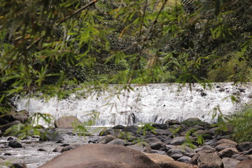 Rivière et torrent en Martinique dans les caraïbes