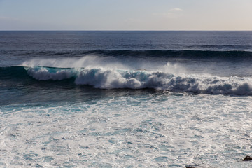 surfing on a wave near the beach
