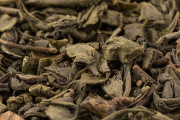 Gunpowder green tea