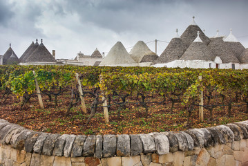 vineyard garden and roofs of old typical houses trulli in Alberobello in region Puglia in Italy