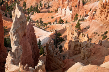 Bryce Canyon, USA, view from lookout point to red and white rocks