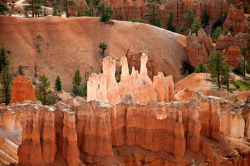 Bryce Canyon, USA, view from lookout point, bleached rocks and trees