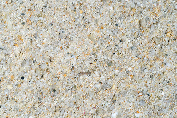 Sand on the beach of the Indian ocean.