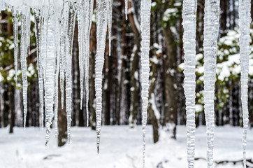 Icicles hanging from the roof against the backdrop of the forest. View from the window of a country house