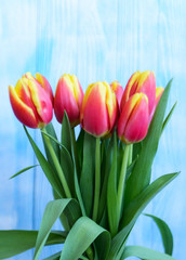 Bouquet red and yellow tulips on blue background. Defocused background