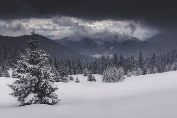 Winter Landscape in mountains. High mountains in clouds. Dramatic sky. View of snow-covered forest. Retro style.