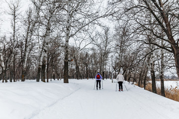 Winter landscape with cross-country skiing tracks, winter forest