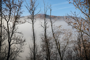 Travel by car in the mountains. White clouds over the field. Bare boughs