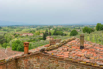 Rooftop view of tuscany countryside with traditional architecture and nature.
