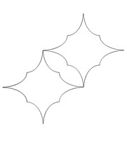 Ornate Geometric Pattern