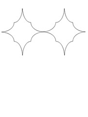 Ornate Geometric Pattern