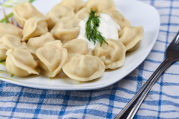 Selective focus. Dumplings with sour cream on a plate
