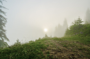 Fototapeta na wymiar Foggy morning landscape