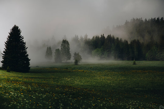 Clearing