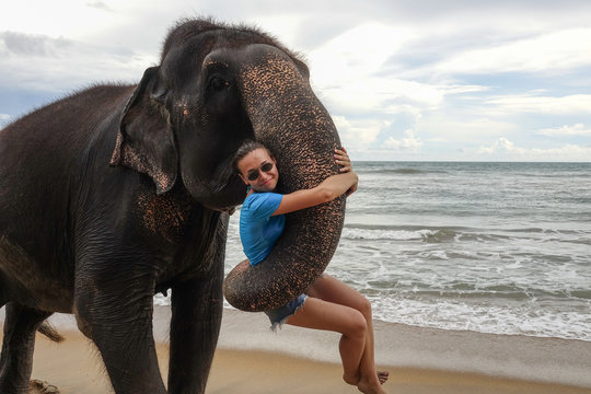 Portrait of a young girl with an elephant on the background of a tropical ocean beach. Elephant hugs a young girl with his trunk. Tropical coast of Sri Lanka.