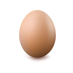 Egg. Vector illustration.