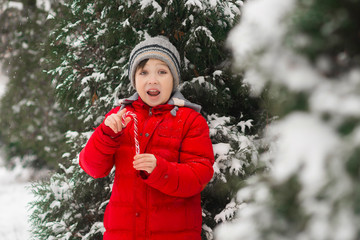 A happy child (boy) is holding traditional xmas spiral striped red and white cany candy in his hands. Christmas.