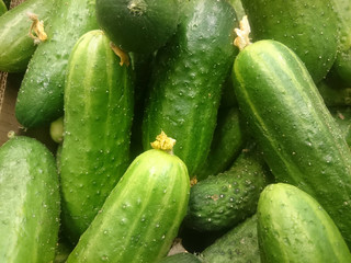 fresh cucumbers on the counter of a grocery store