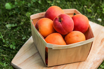 Apricot inside wooden basket outside on grass