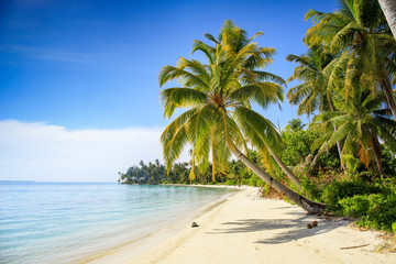 A nice and empty beach in a tropical desert island of Sumatra, Indonesia. Blue sky, white sand and coconut trees, a dream holiday place to relax, ses, a dream holiday place to relax, snorkel and rest.
