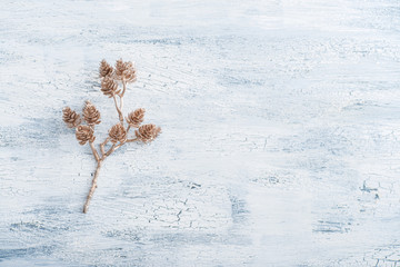 Decorative golden twig with pine cones