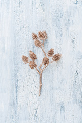 Decorative golden twig with pine cones