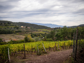 Fototapeta na wymiar Autumn landscape of Tuscany seen from white roads in october italy chianti