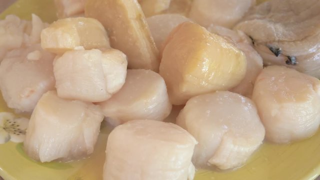 Plate of raw scallops in 4k. Prepping the shellfish to be served ceviche style. Closeup can be used in videos on cooking, global overfishing and pescatarian diets.