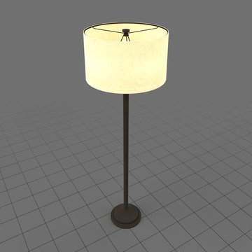 Traditional floor light on