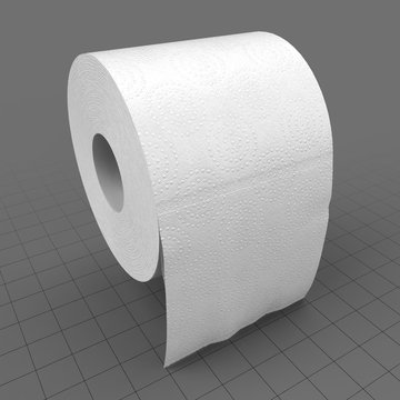 Toilet paper roll 3