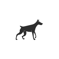 Vector illustration. Flat style icon of dobermann for different design. Cute family dog. Simple silhouette pictogram for different design.