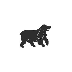 Vector illustration. Flat style icon of english cocker spaniel for different design. Cute family dog. Simple silhouette pictogram.