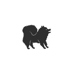 Vector illustration. Flat style icon of pomeranian spitz for different design. Cute family dog. Simple silhouette pictogram.