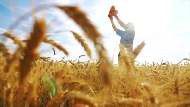 old farmer man silhouette baker holds a golden bread and loaf in ripe wheat field against the blue sky. slow motion video. successful agriculturist in field of wheat. harvest time lifestyle. old man