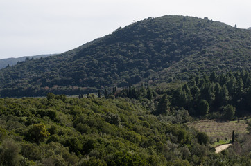 Fototapeta na wymiar Griechische Landschaft