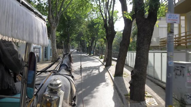 The horse-drawn carriage is the main transport on Buyukada.