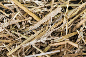 Needle in Haystack 1
