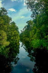 Fototapeta na wymiar Reflections of the sky and dense, lush tropical jungle in the Sekonyer River in Tanjung Puting National Park, in Central Kalimantan, Indonesian Borneo