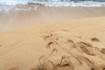 footprints in sand