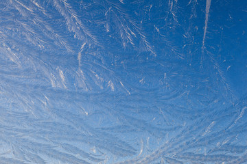Feathery Natural Patterns of Ice Crystals
