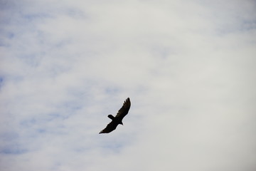 everglades national park landscape