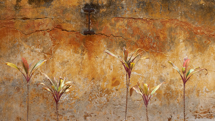 Beautiful flowers and plants against a rustic orange painted wall in rural Mexico.  