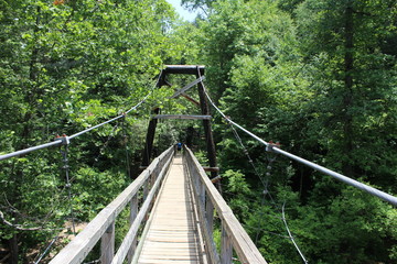  Swinging Bridge over the Toccoa River 